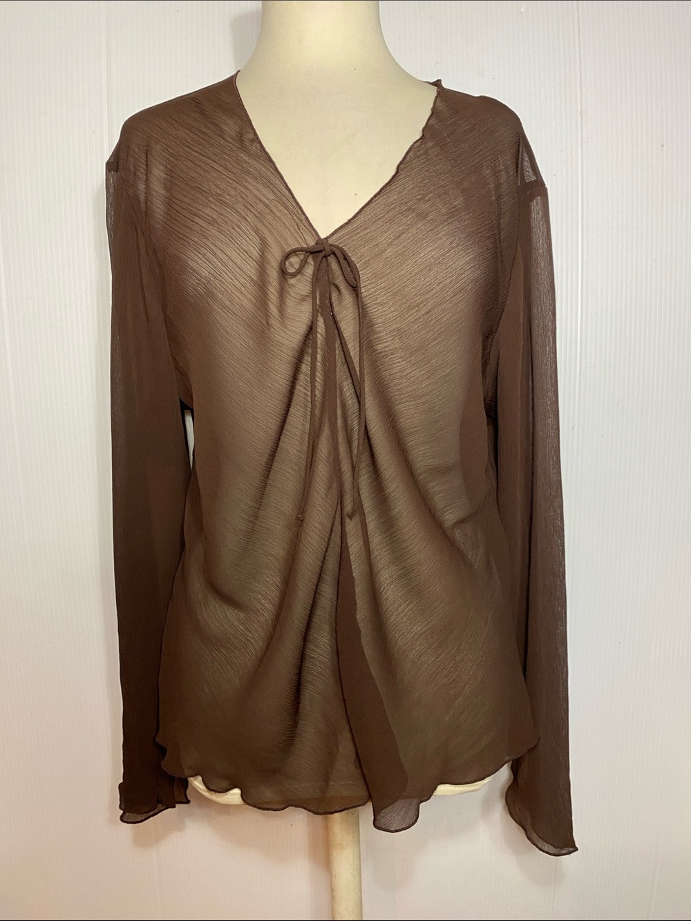Giorgio Fiorelli Sheer Brown Tie-Front Blouse